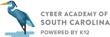 Cyber Academy of South Carolina
