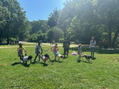 Children play in a sunlit park, forming a human caterpillar race. Lush green trees surround them, creating a joyful and lively atmosphere.