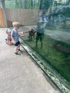 Two children eagerly observe a hippo underwater through a large glass at a zoo.