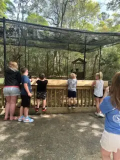 Children stand on a path, peering into an outdoor animal enclosure with trees and greenery.