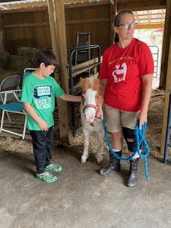 A child pets a small pony held by a woman in a red shirt inside a barn.