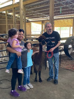 A child pets a small pony held by a woman in a red shirt inside a barn.