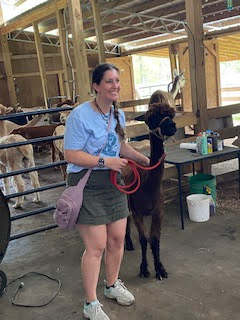 A woman smiles while holding a brown alpaca on a red leash in a barn.