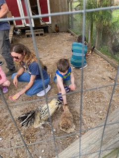 A young boy is petting a chicken in a fenced outdoor pen, with a woman sitting nearby and another child in the background.