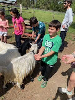 Children happily feed white and black goats outdoors, surrounded by adults.