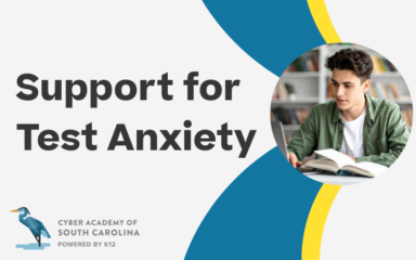 Support for Test Anxiety CASC